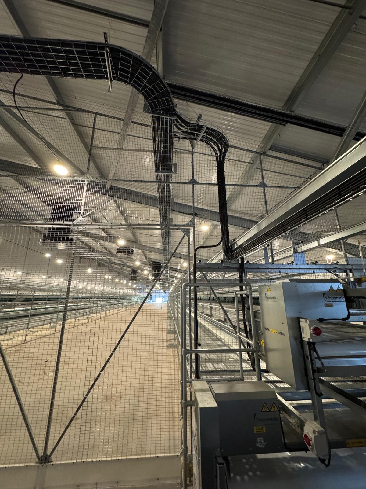 Lighting and cable containment through a large livestock building